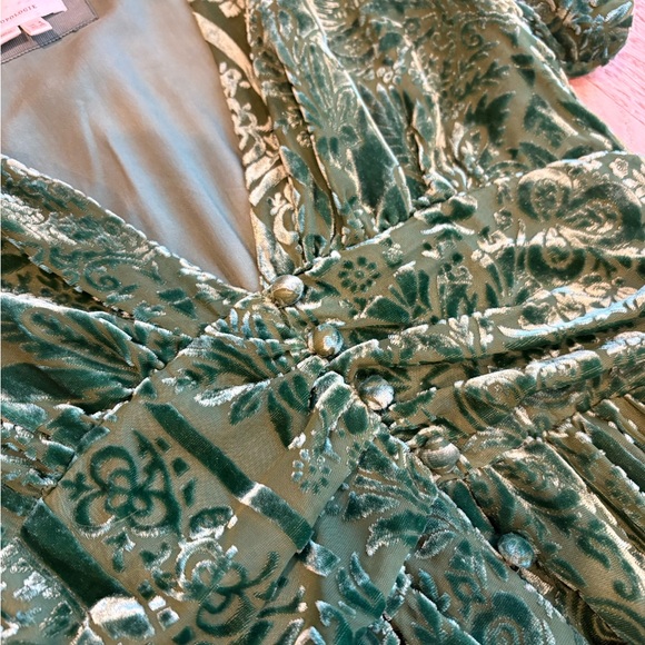 Anthropologie Catalina Burnout Velvet Maxi Dress - Picture 6 of 7